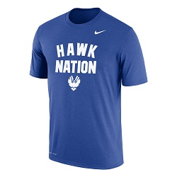 Nike dri on sale fit georgia shirts